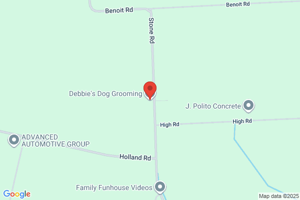 Debbies Dog & Cat Grooming