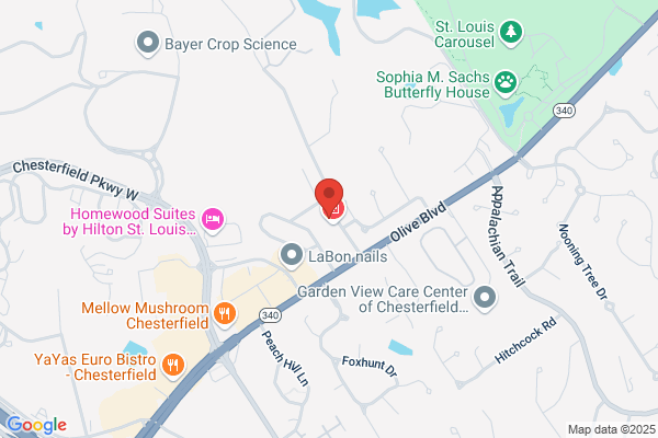 Performance Chiropractic