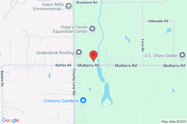 Mapes Greenhouse & Florist