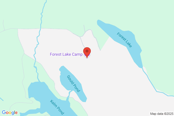 Forest Lake Camp