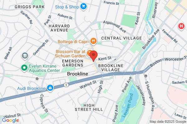 Boston Derma Care Products