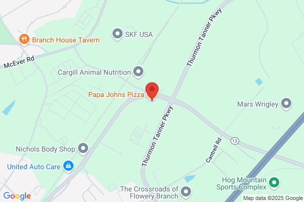 Papa Johns Pizza