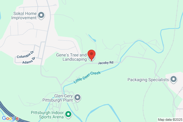Gene's Tree and Landscaping LLC