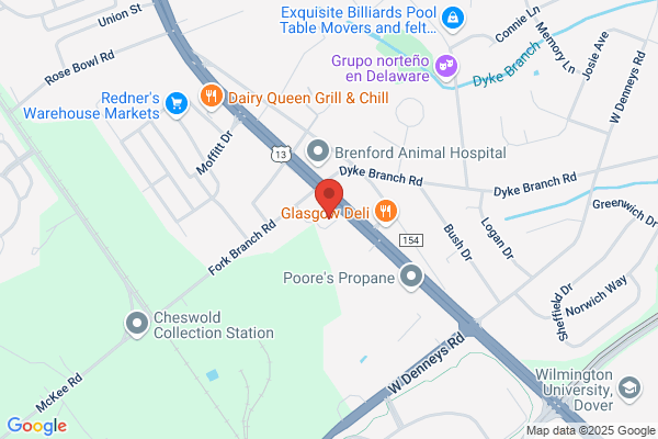 Advance Auto Parts
