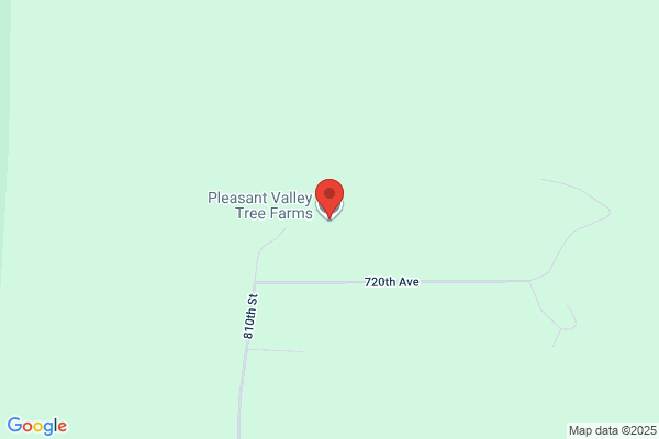 Northern Light Tree Farm