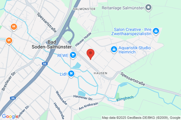 Ivy Lock Service