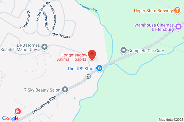 Longmeadow Animal Hospital