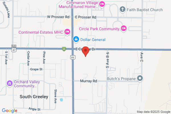 Action Automotive Inc