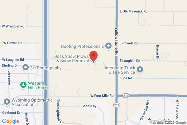 Professional Landscaping Inc