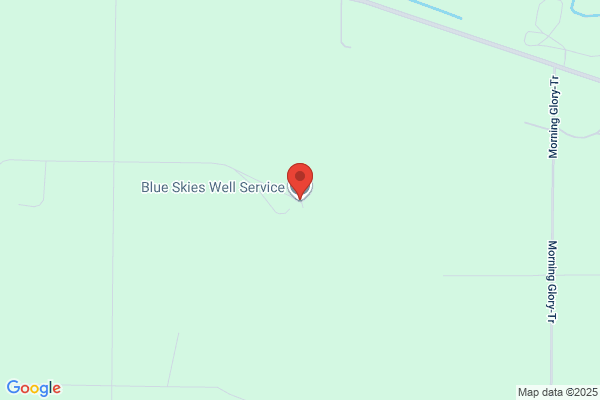 Blue Skies Well Service