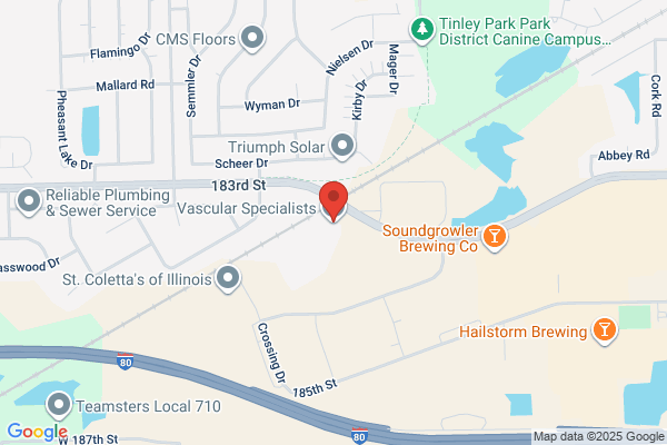 Vascular Specialists