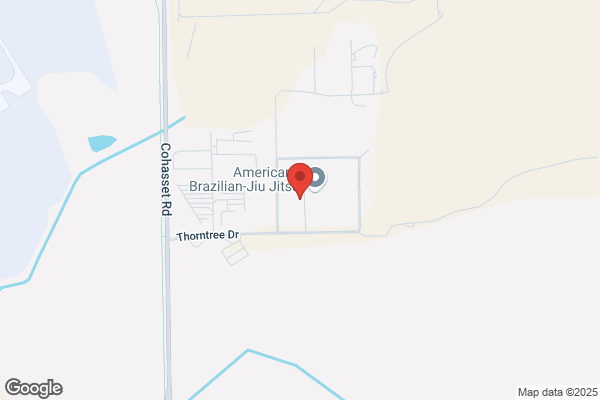 Bull's Eye Windshield Repair & Replacement