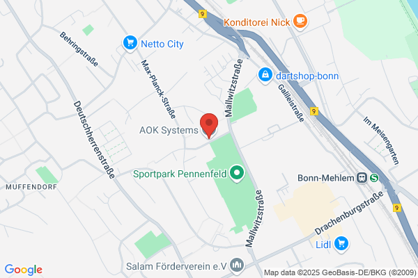 A-OK Home Inspection Service