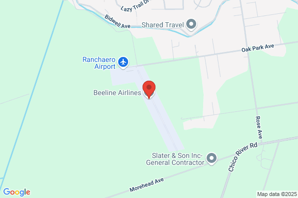 Beeline Airlines