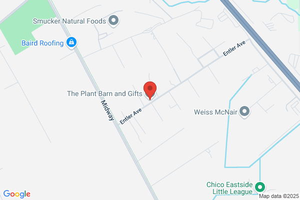 Chico Avenue Nursery