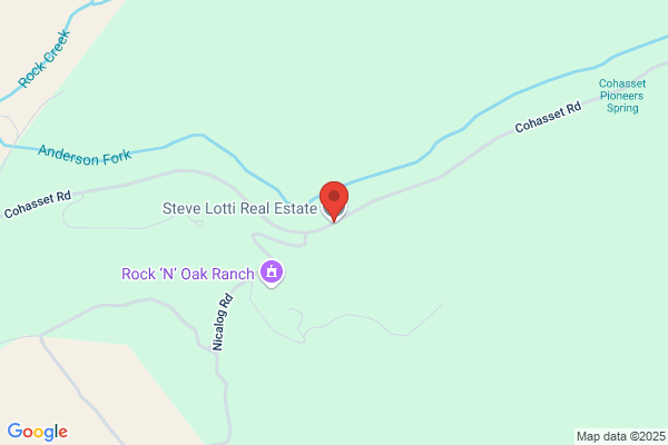 Lotti Steve Real Estate