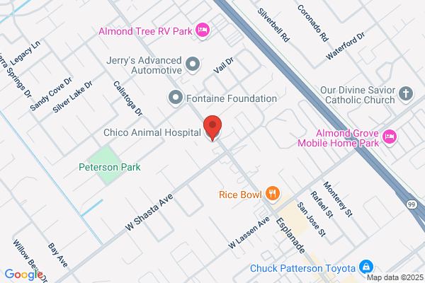 Chico Animal Hospital