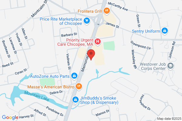 Advance Auto Parts