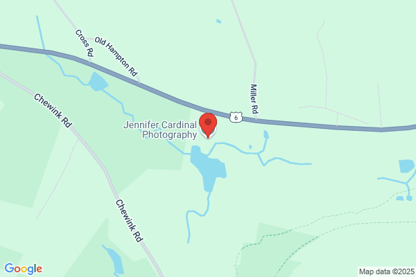 Jennifer Corridan Photography