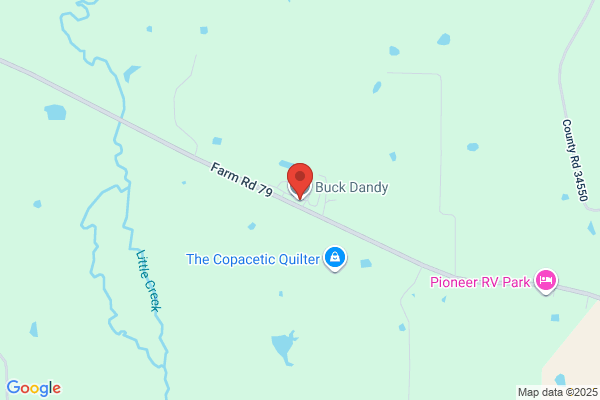 Buck Dandy Co Inc