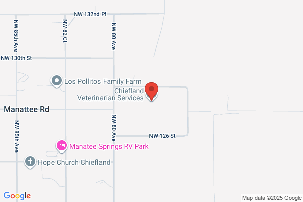 House Call Veterinarian