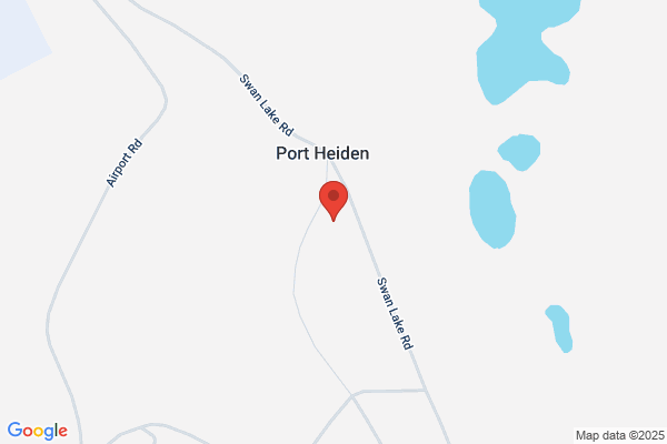 Native Council of Port Heiden