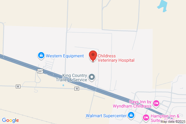 Childress Veterinary Hospital