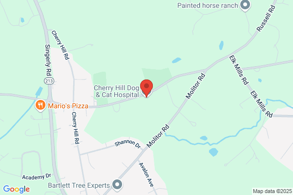 Cherry Hill Dog And Cat Hospital