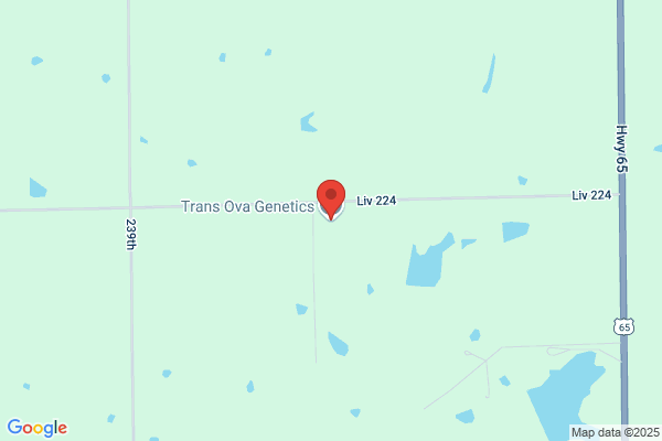 Trans Ova Genetics