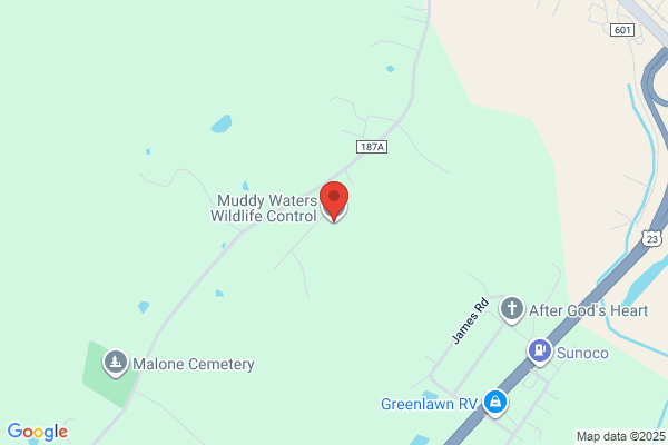 Muddy Waters Wildlife Control