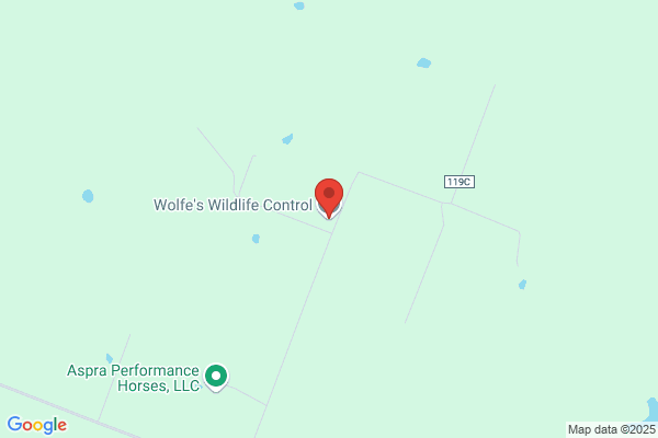 Wolfe's Wildlife Control