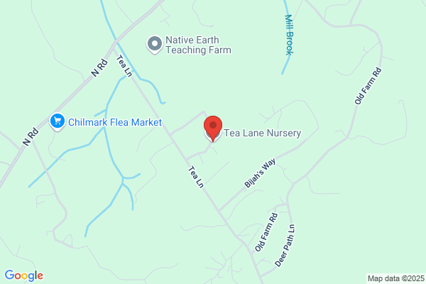 Tea Lane Nursery