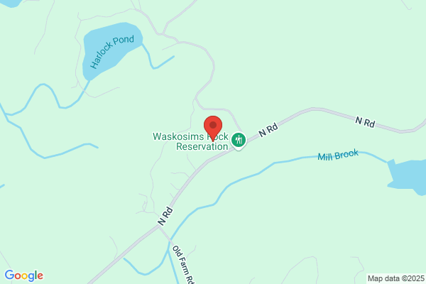 Wlodyka Walter S Skunk & Racoon Removal