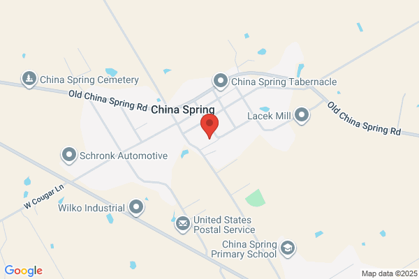 China Spring Cougar Storage