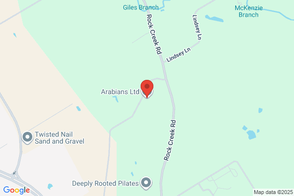Hamilton Gates Arabians
