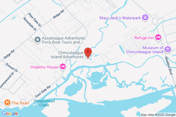 Assateague adventures
