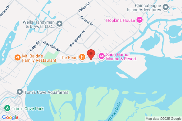 Assateague Tours