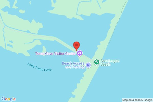 Chincoteague Natural History Association
