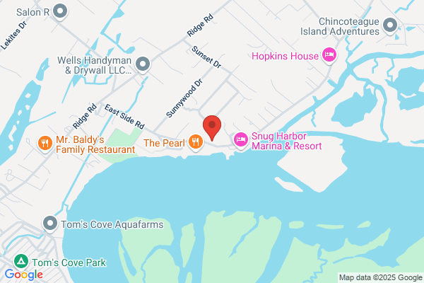 Chincoteague Nature Tours