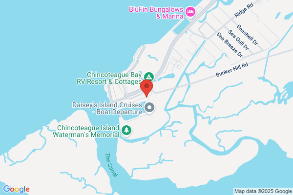 Saltwater Pony Tours