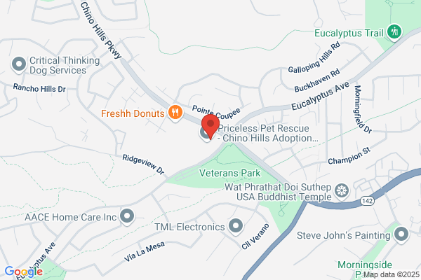 Good Earth Montessori School
