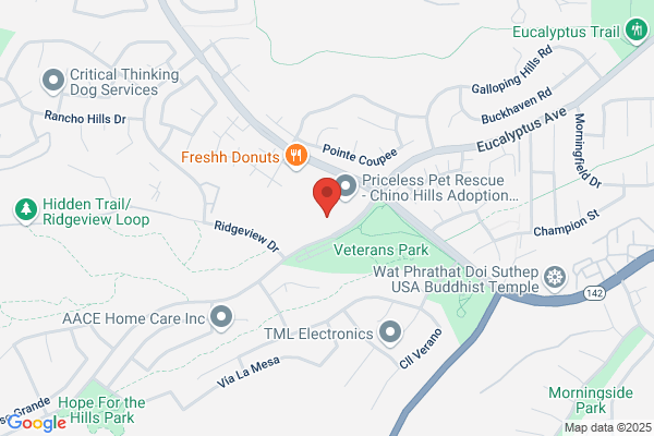 Chino Hills Pet Grooming