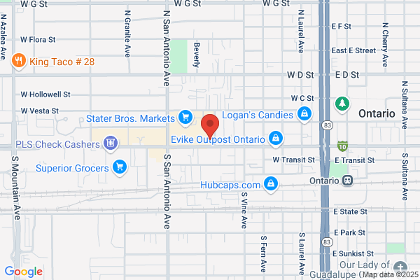 Erika's Insurance