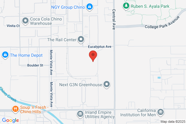 Cfi Tissue Inc