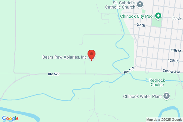 Bear Paw Title Insurance Co