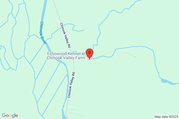 Chinook Valley Farm Dog Training