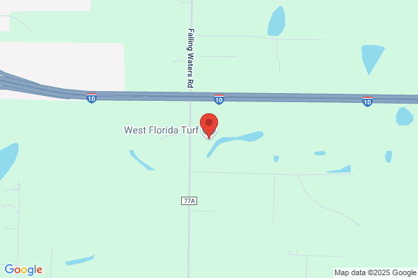 West Florida Turf