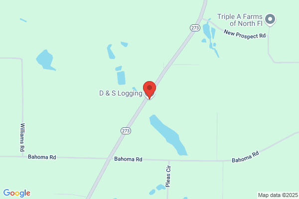 Southern Foresty Consultant