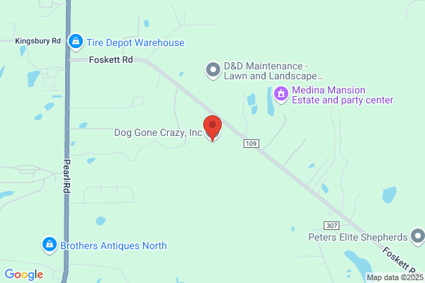 Douglass Canine Bed & Breakfast