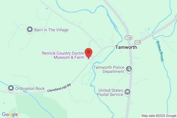 Remick Dexter & Son Inc